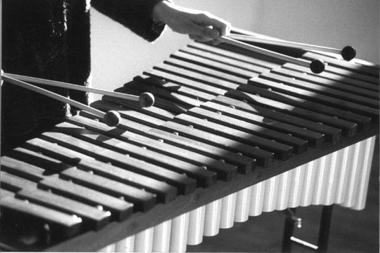 xylophone